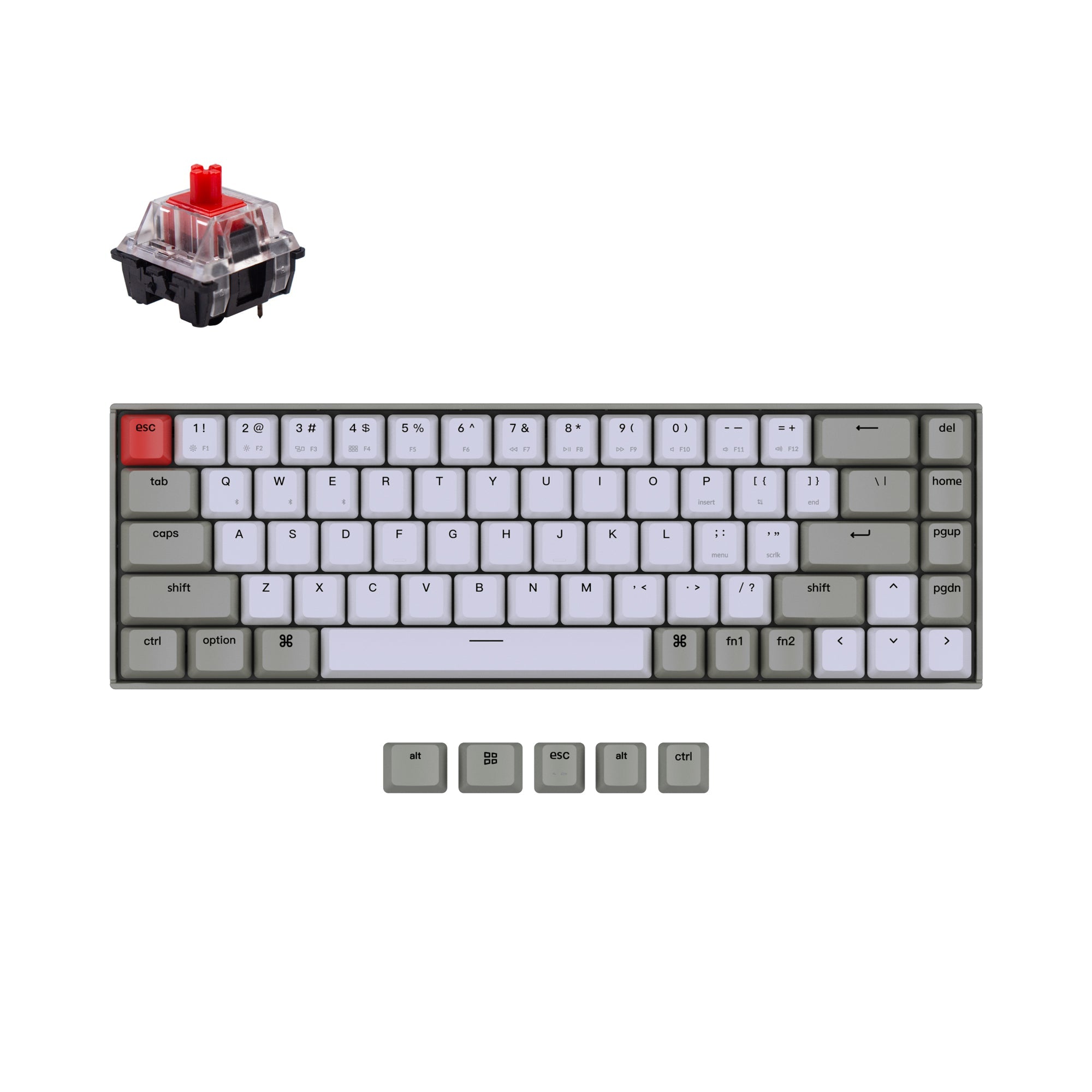 Keychron K6 Non-Backlight Wireless Mechanical Keyboard – Keychron